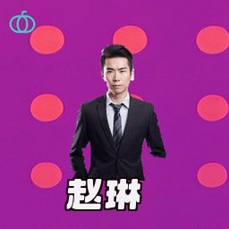 赵琳